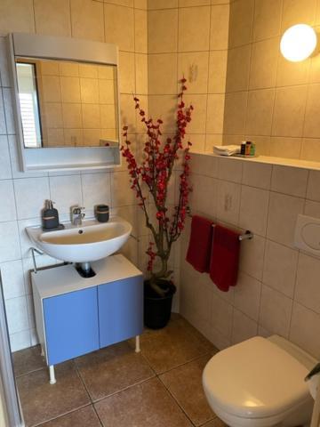 Studio Der Alpen Тун Экстерьер фото